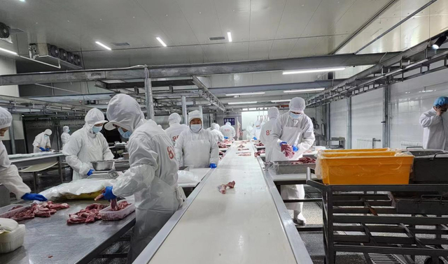 呼伦贝尔肉业集团生产线一派忙碌景象。