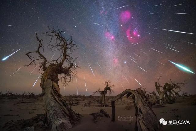 ▲胡杨林与星空。星联CSVA星空摄影师董书畅，2020年双子座流星雨，摄于内蒙古额济纳