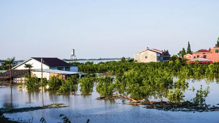 7月6日，湖南省岳阳市华容县团洲乡团西村，洪水高度接近房顶。