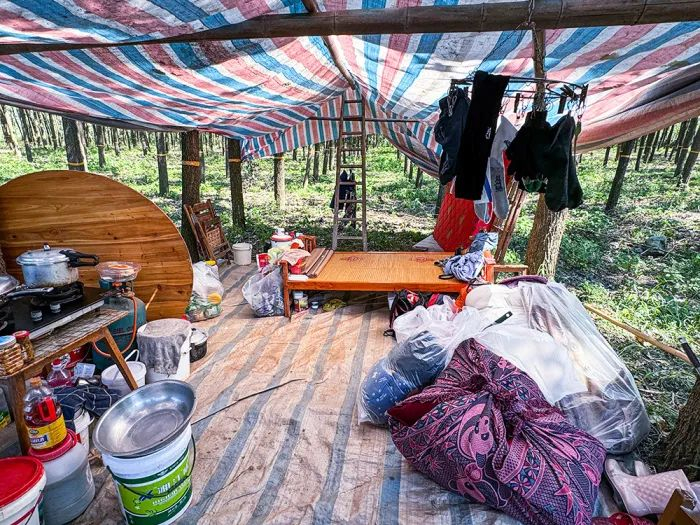 7月6日，湖南省岳阳市华容县团洲乡团西村，一户村民搭建临时帐篷守着最后的家当。