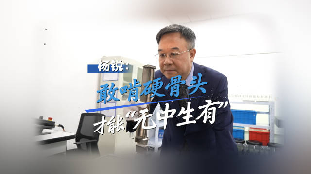 杨锐:敢啃硬骨头 才能"无中生有"