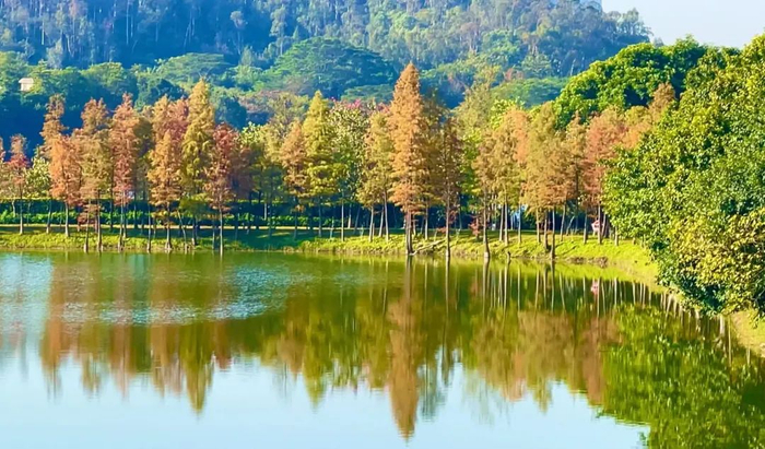 期待!就在东莞市中心,一批新景区将"上线"