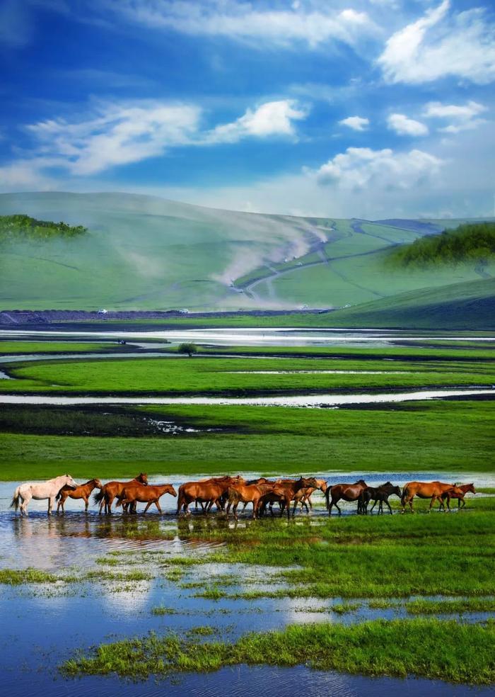 真实草原风景图片大全图片