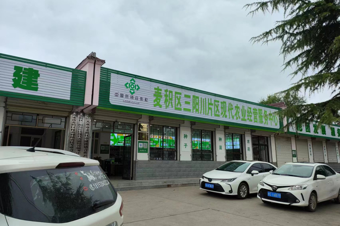 持续深化"三聚力"  绘就服务新"枫"景 ——天水市麦积区多措并举狠抓