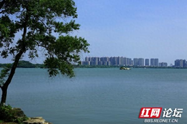 一湖碧水送清凉,夏日畅游岳阳南湖