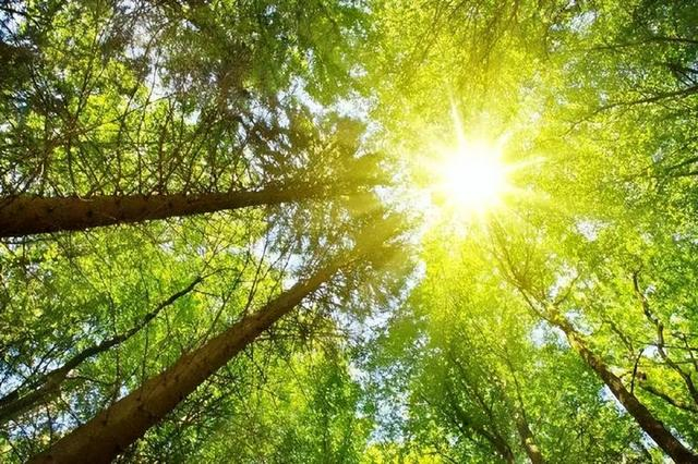 夏天太阳晒得越多对身体越好?提醒:如果你这样晒太阳,会后悔