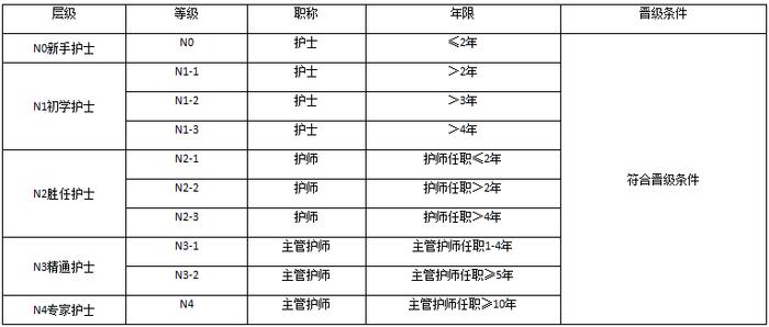 根据临床护士工作能力,技术水平,职称层次,工作年限,形成五层10级