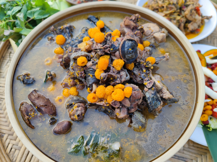 西双版纳州委宣传部 景洪市融媒体中心 供图