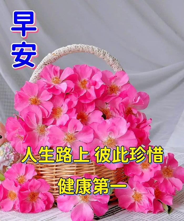 最新图片早安祝福语图片