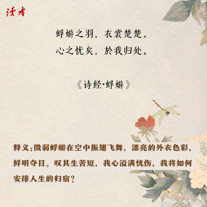 《诗经》中一些值得叫人回味的句子, 有鸟高飞,亦傅于天