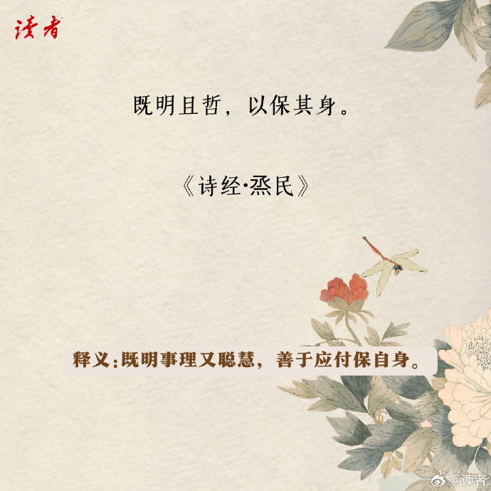 《诗经》中一些值得叫人回味的句子, 有鸟高飞,亦傅于天
