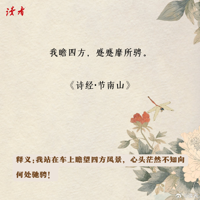 《诗经》中一些值得叫人回味的句子, 有鸟高飞,亦傅于天