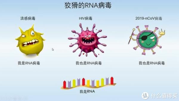 奥密克戎病毒基因图片