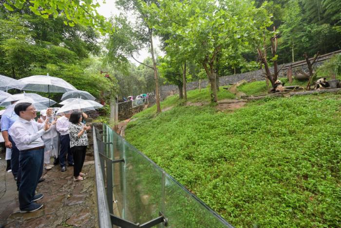 李家超（左一）及夫人李林丽婵（右一）7月8日到访中国大熊猫保护研究中心都江堰基地。图自香港特区政府新闻网