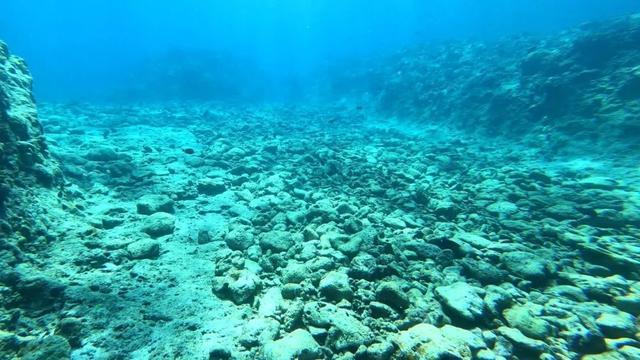 △仁爱礁西侧外礁坡上槽沟中的珊瑚礁碎块。（图源：自然资源部南海生态中心）