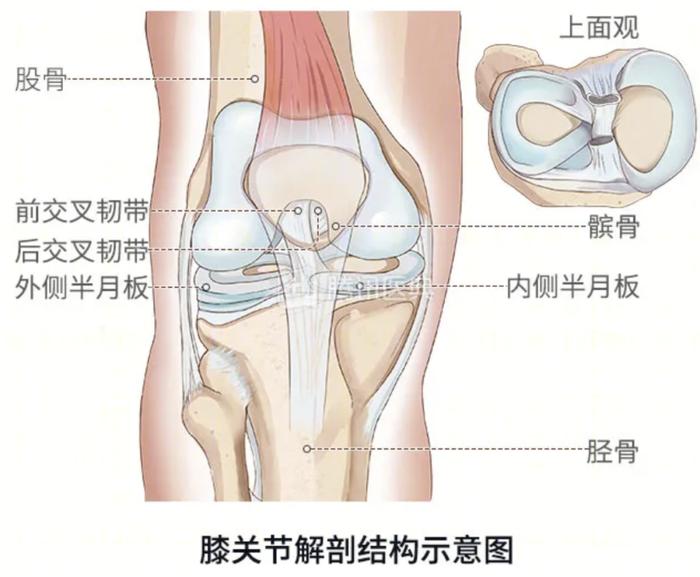 多长胖1斤,多乱蹲1次,多久坐1小时,都在杀死你的半月板