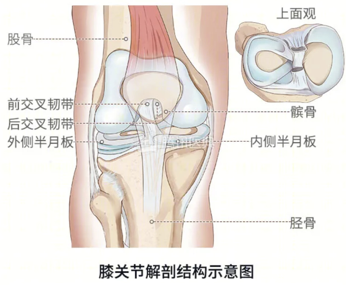 多长胖1斤,多乱蹲1次,多久坐1小时,都在杀死你的半月板