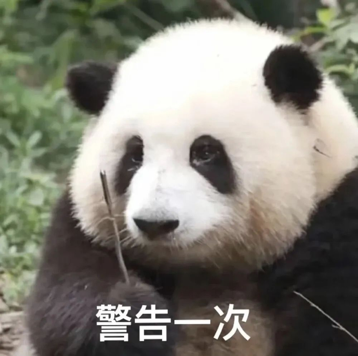超可爱的熊猫表情包