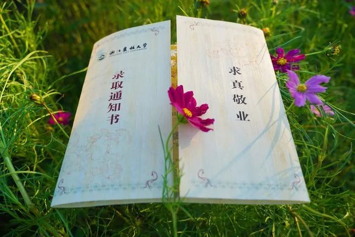 高校录取通知书"上新"!有什么新创意?先睹为快