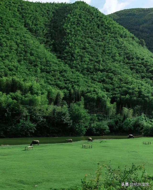 风格独特,自然风光与历史文化的极致融合莫干山步步为景,名胜景点各具