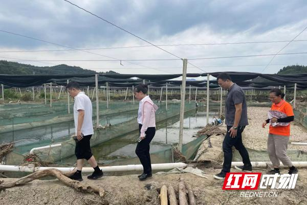 县,汨罗市,华容县,怀化市沅陵县等受灾严重地区进行实地调研和评估