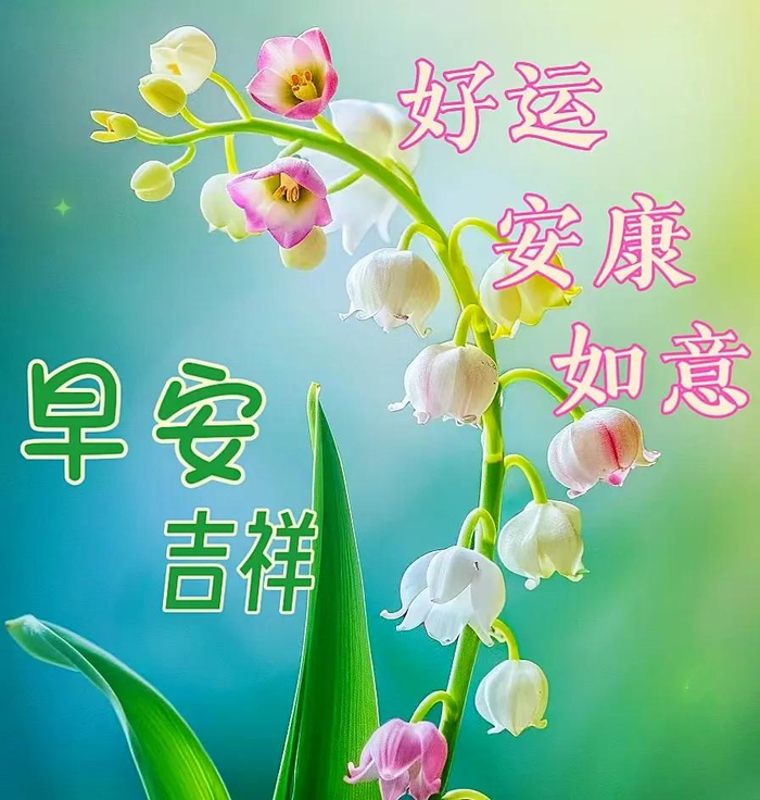 2024年7月10日最新早上好祝福语图片大全 精选早安问候祝福图片带字