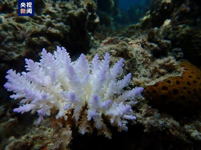 飓风“海伦妮”已导致美国至少189人死亡