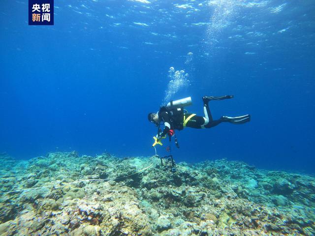 （身边的变化）健康数据实时看 侨乡青田科技赋能托起幸福“夕阳红”