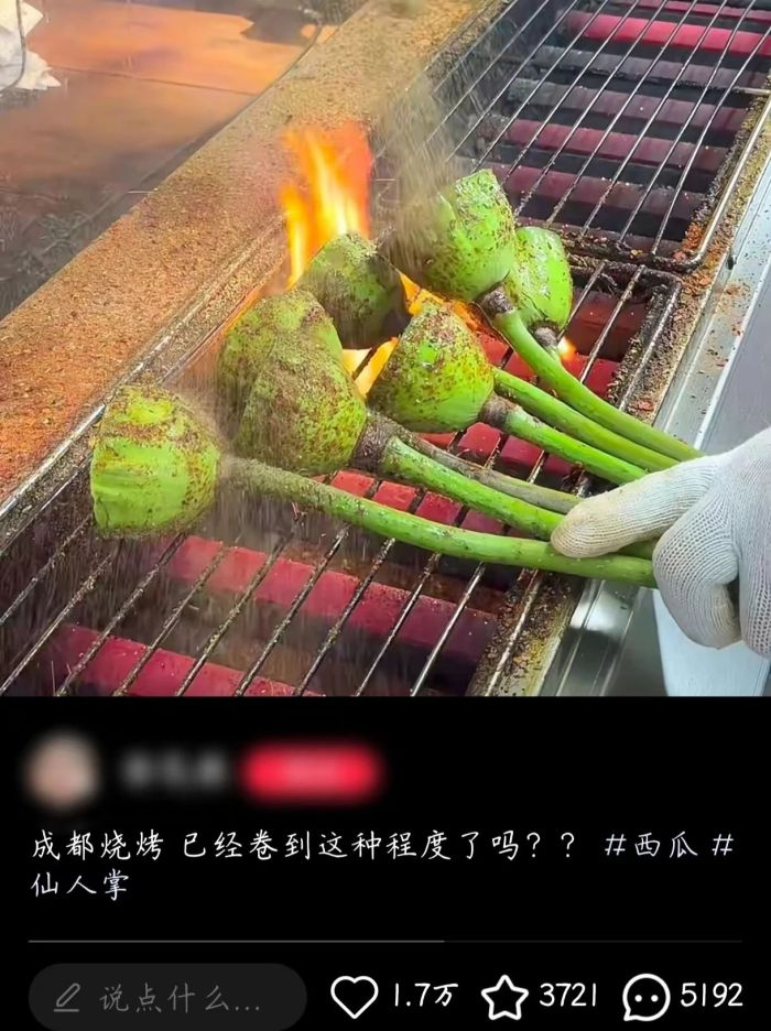 图片来源：小红书截图