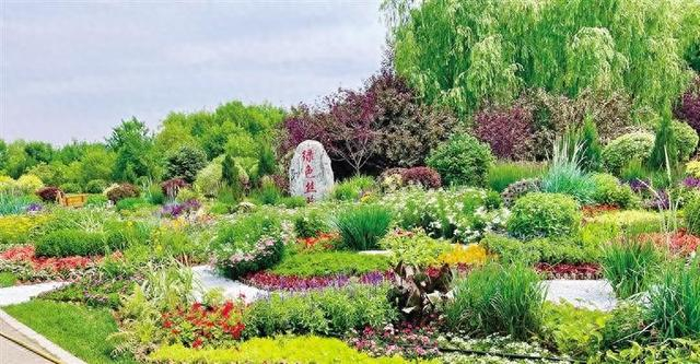 花镜《锦绣丝路 华彩青城》 展现绿色之美,生态之美