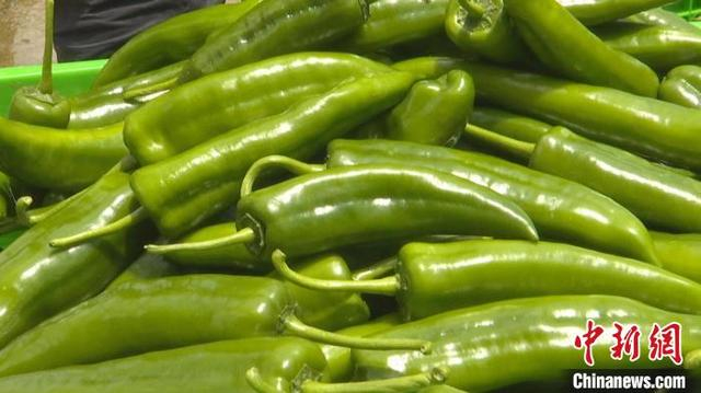 湖南蓝山"小辣椒"成乡村振兴"大产业"