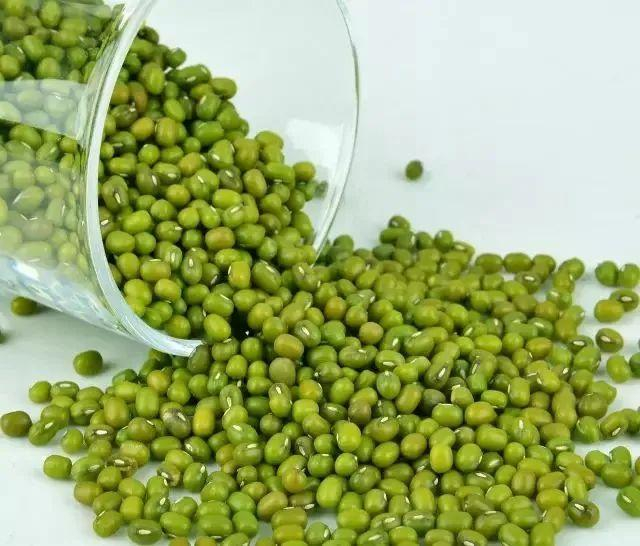 浮梁特色美食养生健康又美味苦槠豆腐成为了一道清爽的素食菜随着人们