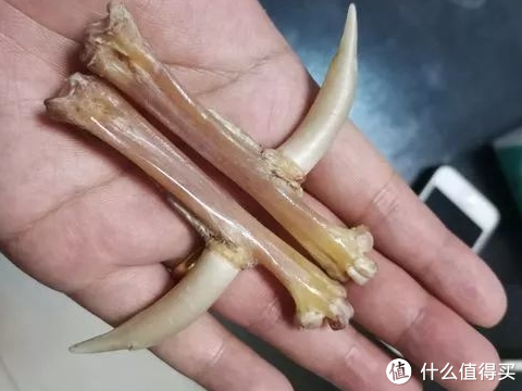 鸡爪骨手把件文玩