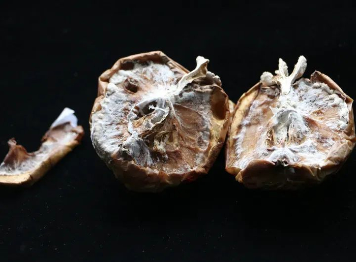 苹果切开后的情况。许博士供图