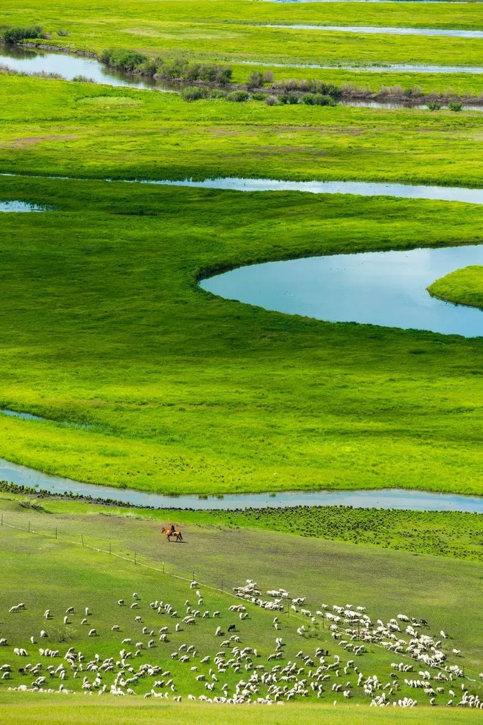 是避暑最佳去处气候宜人,花香遍野,牧歌悠悠,是草原上一年之中最美丽