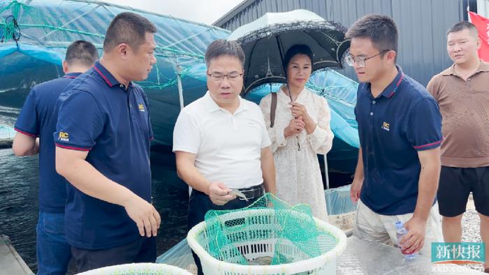 电白岭门镇首富图片