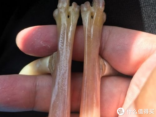 鸡爪骨手把件文玩