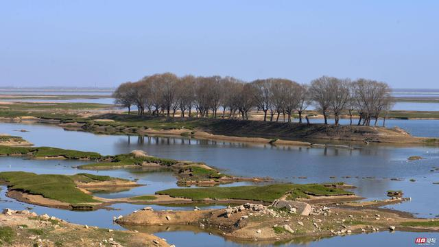 洞庭湖湿地风光图自网络 