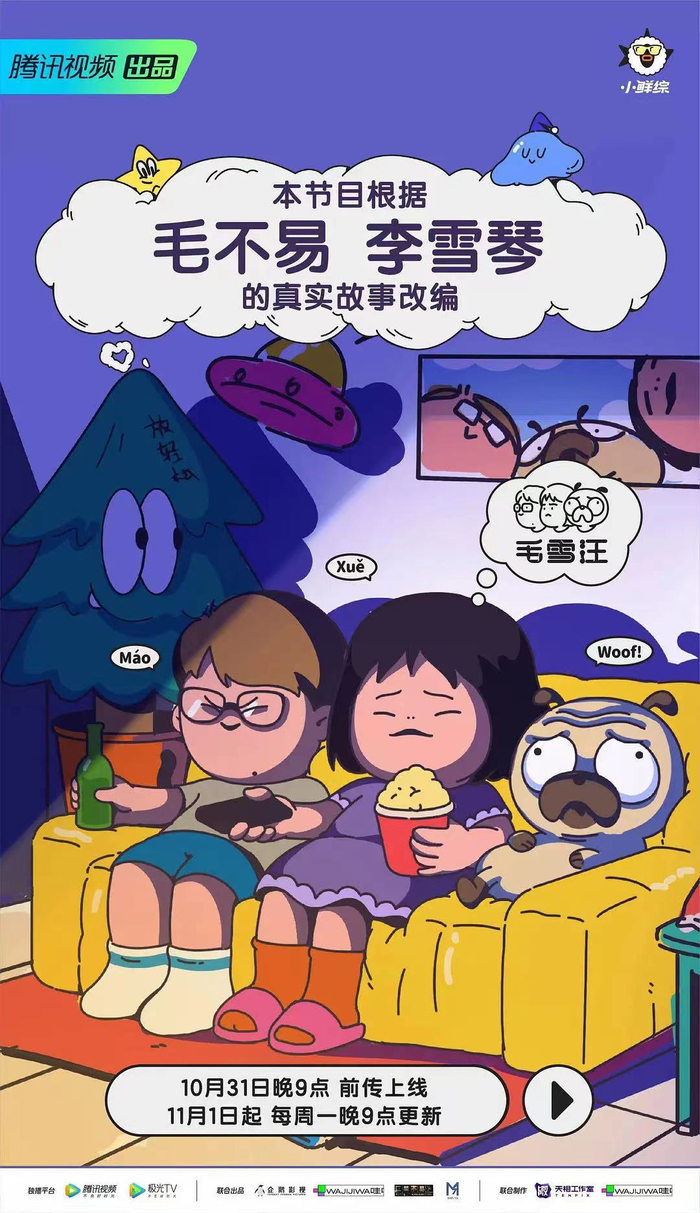 《毛雪汪》海报 图源：豆瓣