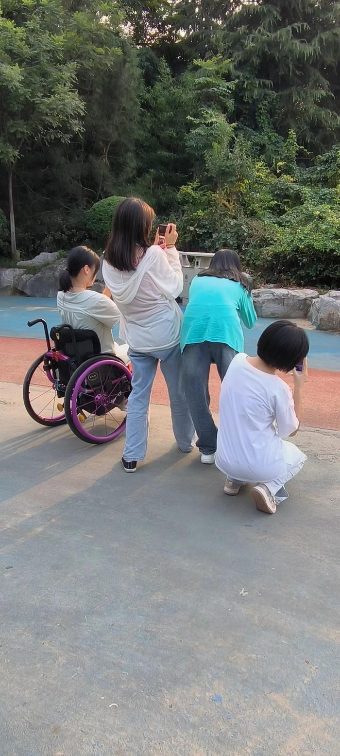 轮椅上的那个女孩,在努力成长为一个普通人