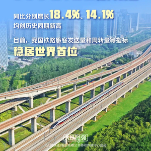 我国铁路主要客运指标稳居世界首位！上半年发送旅客突破20亿人次 铁路 旅客 客运 出行 服务 指标 列车 旅游 人次 高铁 sina.cn 第2张