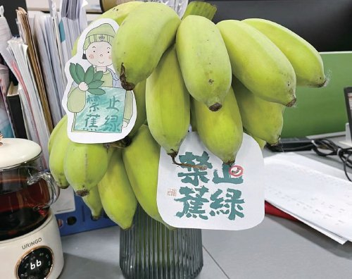 　　办公桌上摆放的“禁止蕉绿”。　资料图