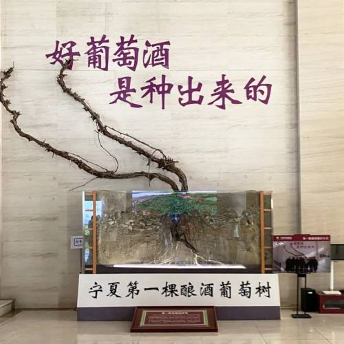 西部最小省份,成立66年,现在啥情况了?|葡萄酒_新浪新闻