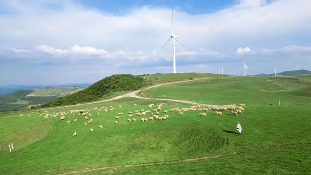 旅游季2024威宁房地产展示交易会"阳光威宁 浪漫草海"参加乌撒广场7月