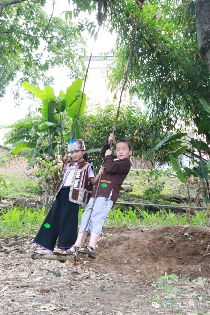 它叫"矻扎扎"其实是甜蜜蜜|扎扎|云南省|红河哈尼族彝族自治州_新浪