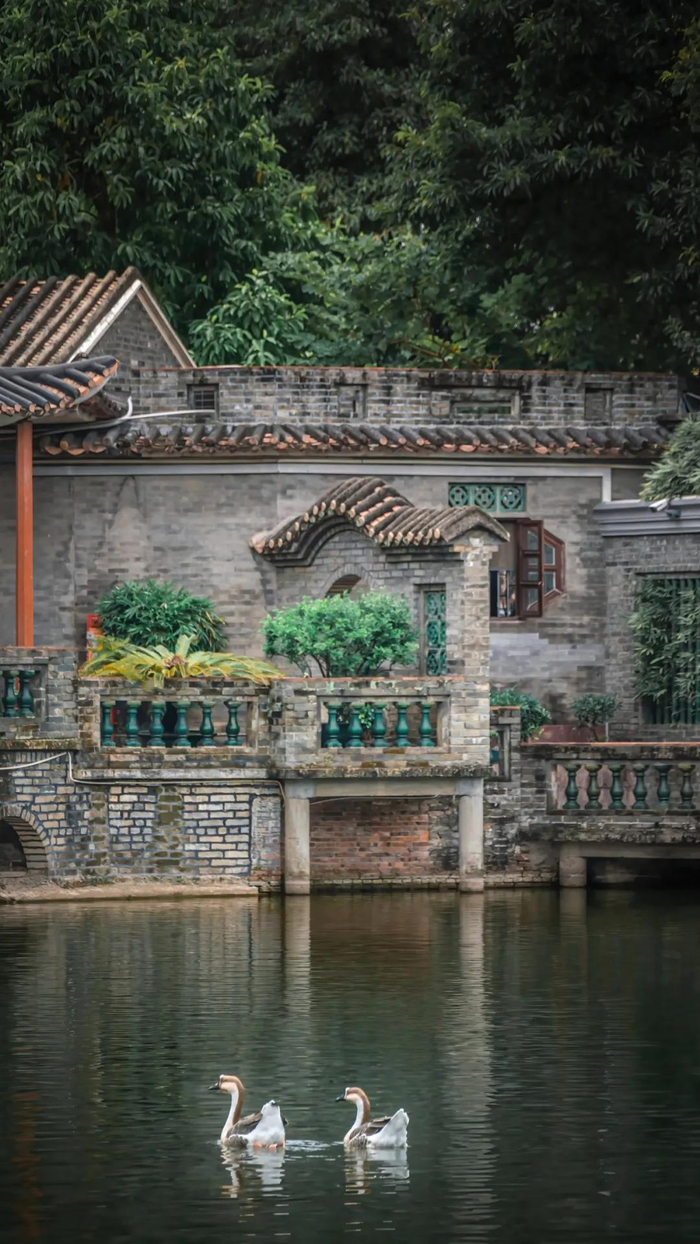 夏日进莞游 !东莞这六条精品旅游路线速速收藏