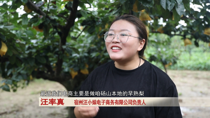 在砀山县良梨镇,当地的致富带头人汪率真,就通过"互联网 "的发展模式