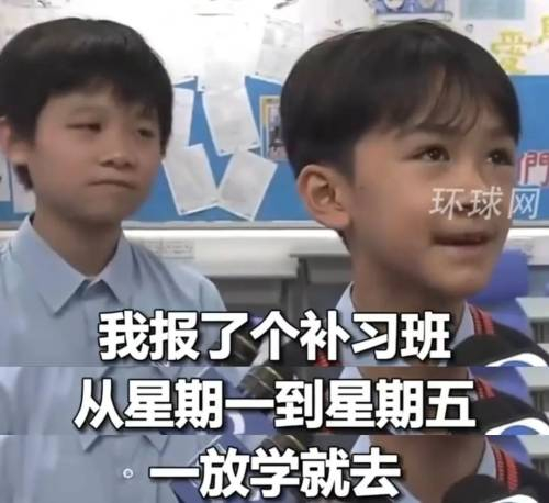 香港学霸小学生采访全网爆火,"读书是我的本分",后排同学表情太抢镜!
