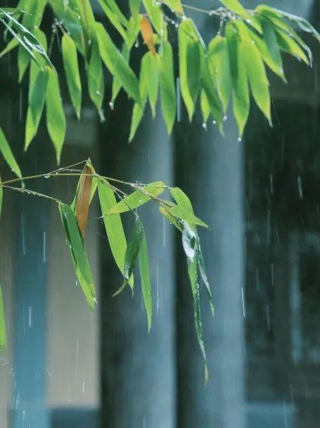 高清雨景图片大全图片