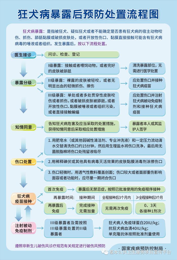 狂犬疫苗注射部位图片